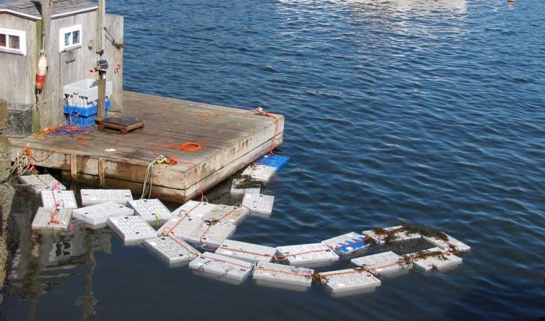 Vinalhaven Harbor lobster crates