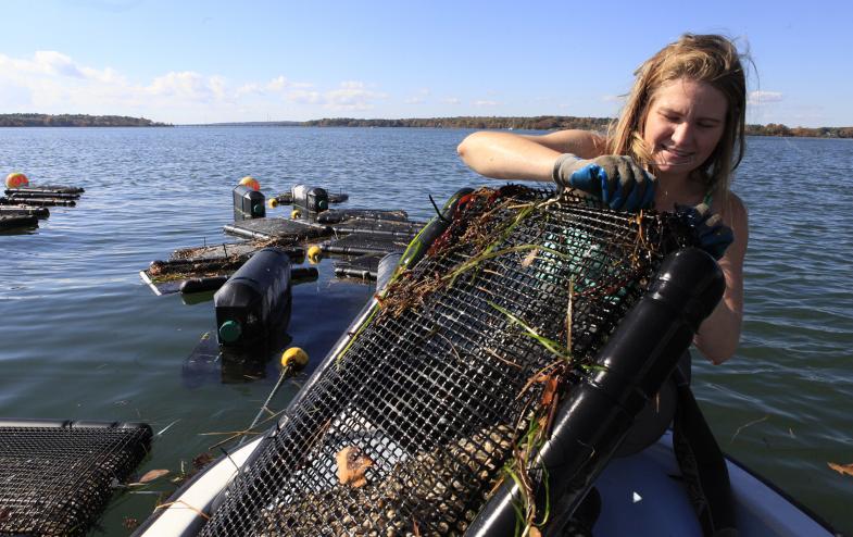 Aquaculture