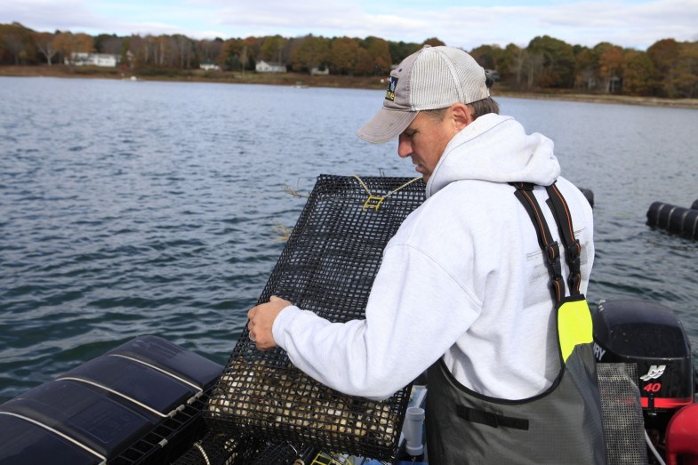 Chebeague fishermen and former ABD participant Jeff Putnam works on oyster cages. After going through the program in 2016, Putnam started an oyster-growing business with his family.