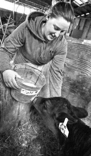 Apprentice Molly Rubin feeds a calf. 