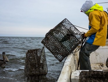 Ghost crab pots