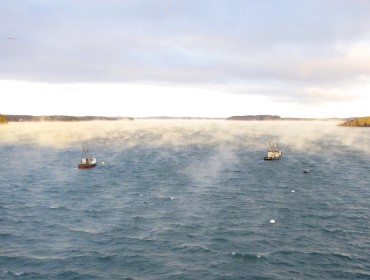 Fishing boats at anchor in Lubec in January 2018. 