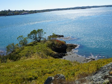 Dudley Island, off Lubec