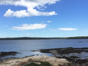 A view of the Medomak estuary.