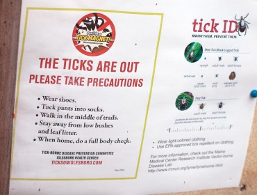 Warning: Ticks