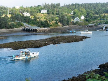 Looking down on Lunt's Harbor in Frenchboro, shot last summer.