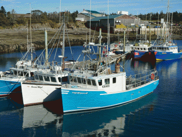 Boats in a protected anchorage on Grand Manan, N.B.