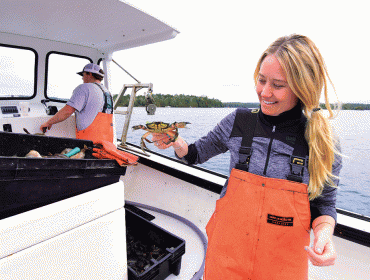 Quahog Bay Conservancy staff Alec Bolinger, a former fisherman (at the helm), and Nicole Twohig, Development Coordinator, harvest green crabs from 100 traps in Quahog Bay. 