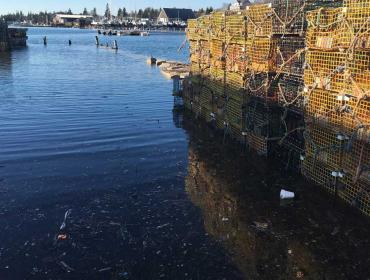 During a recent high tide in Vinalhaven, saltwater spills over the seawall onto a parking lot and fishing access area.