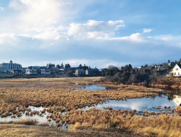  Monhegan Island’s marshy freshwater meadow is part of the aquifer.