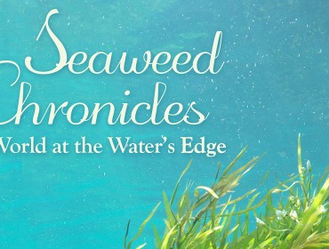 Seaweed Chronicles