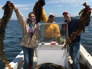 From left, Lisa Scali, Tollef Olson, and Sam Hayward show off the raw product. 