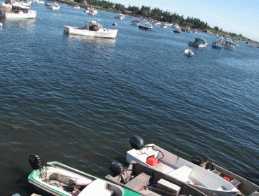 Vinalhaven harbor