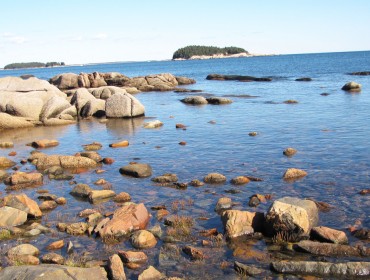 Schoodic peninsula