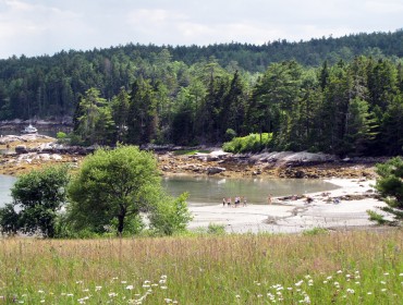 A beach in East Blue Hill at low tide.