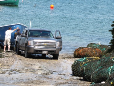 Rockweed harvested at Hancock Point.