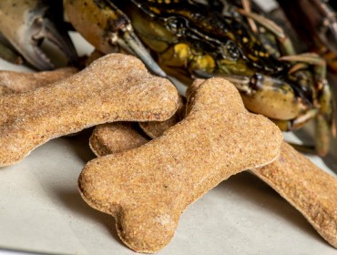 Green crabs into dog biscuits