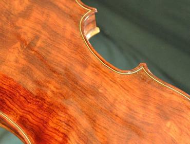 close-up of violin