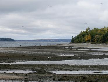 Bar Island sand bar