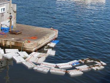 Vinalhaven Harbor lobster crates