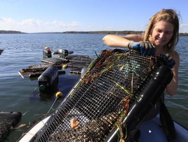 Aquaculture