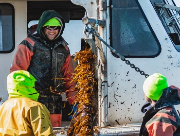 Photo: Atlantic Sea Farms & New England Ocean Cluster