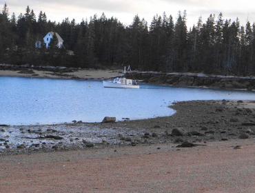 Beach in Brooklin.