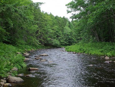 Ducktrap River