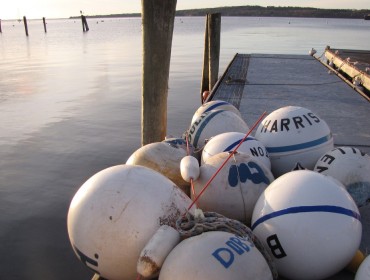 Rockland harbor in early morning.