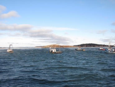 Scallop boats at dawn in Lubec.