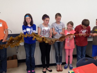 Students hold a blade of kelp