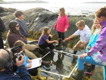 Long Island students studying biodiversity in a tide pool