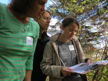 Teachers identify invasive species