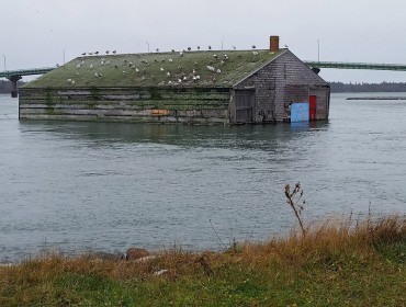 The year's highest tide in Lubec