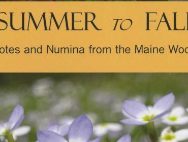 Summer to Fall book jacket