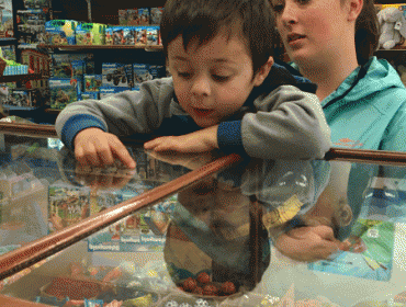 Corbin Davis peers through the glass counter to make his choice.