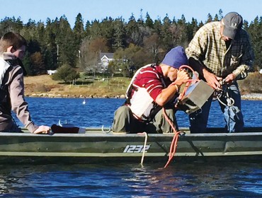 Setting kelp lines on Vinalhaven.