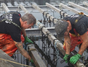 Workers at a mussel-raising operation.