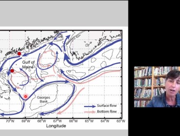 Carla Guenther, chief scientist with the Maine Center for Coastal Fisheries, displays a chart of the complex warm and cold currents that feed the Gulf of Maine. SCREENSHOT: MAINE CENTER FOR COASTAL FISHERIES