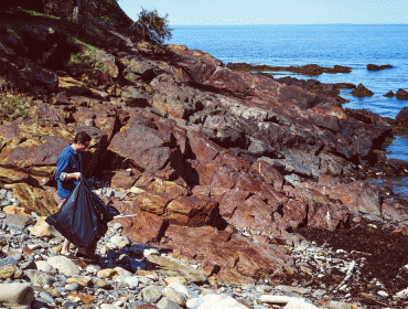 Cleaning up the coast.