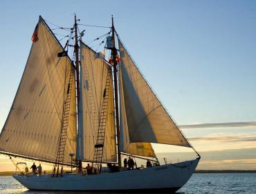 The schooner Bowdoin