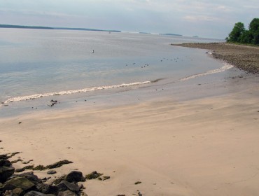 A beach in the Midcoast.