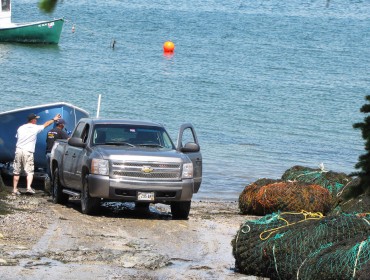 Rockweed landed at a boat yard in Hancock.