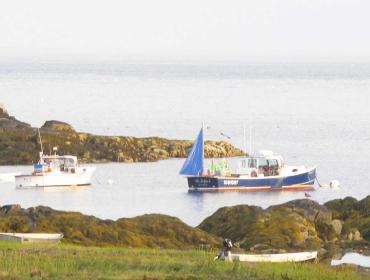 Boats in a cove on Long Island