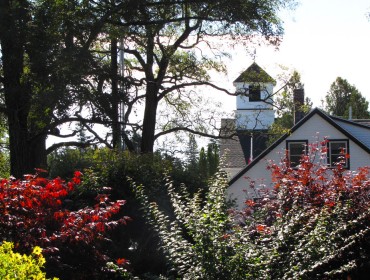 A summer scene on Great Cranberry Island.