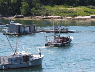 Fishermen bring their catch to a floating buying station in Stonington.