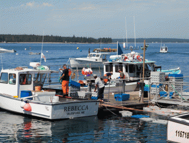 The waterfront on Islesford is busy in summer.