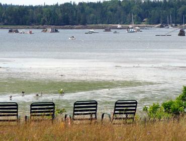 Islesboro chairs