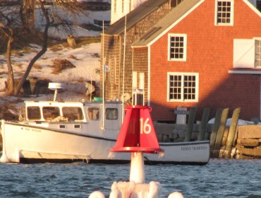 Frozen buoy