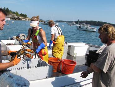 Unloading the catch in Stonington.